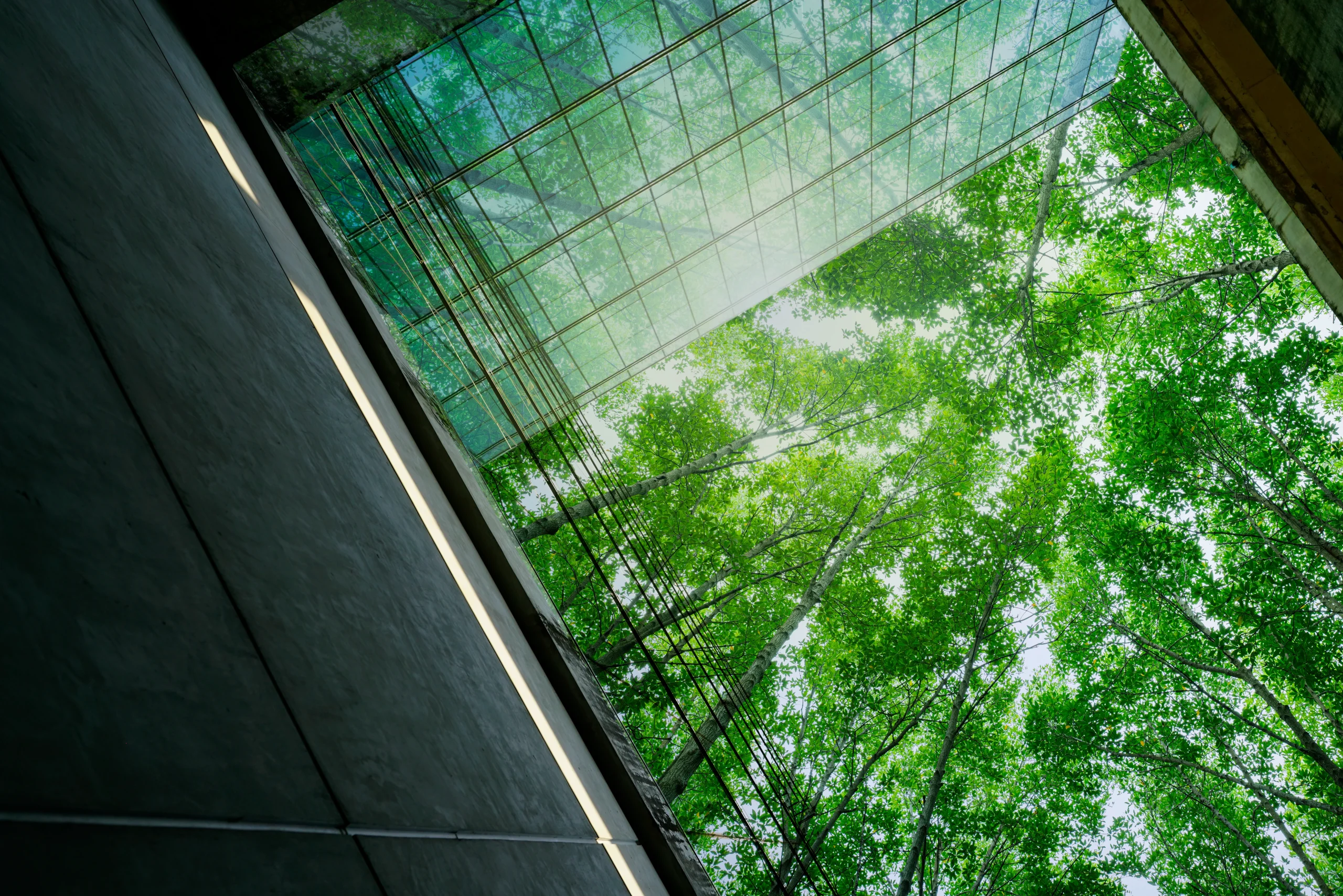 Looking up at a glass building facade framed by green trees