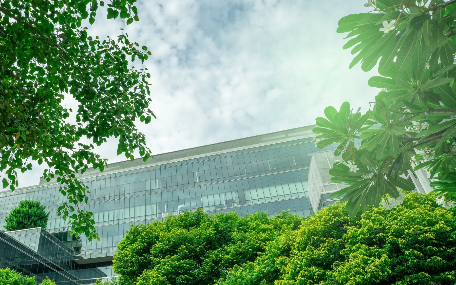 Commercial building surrounded by mature trees and planting