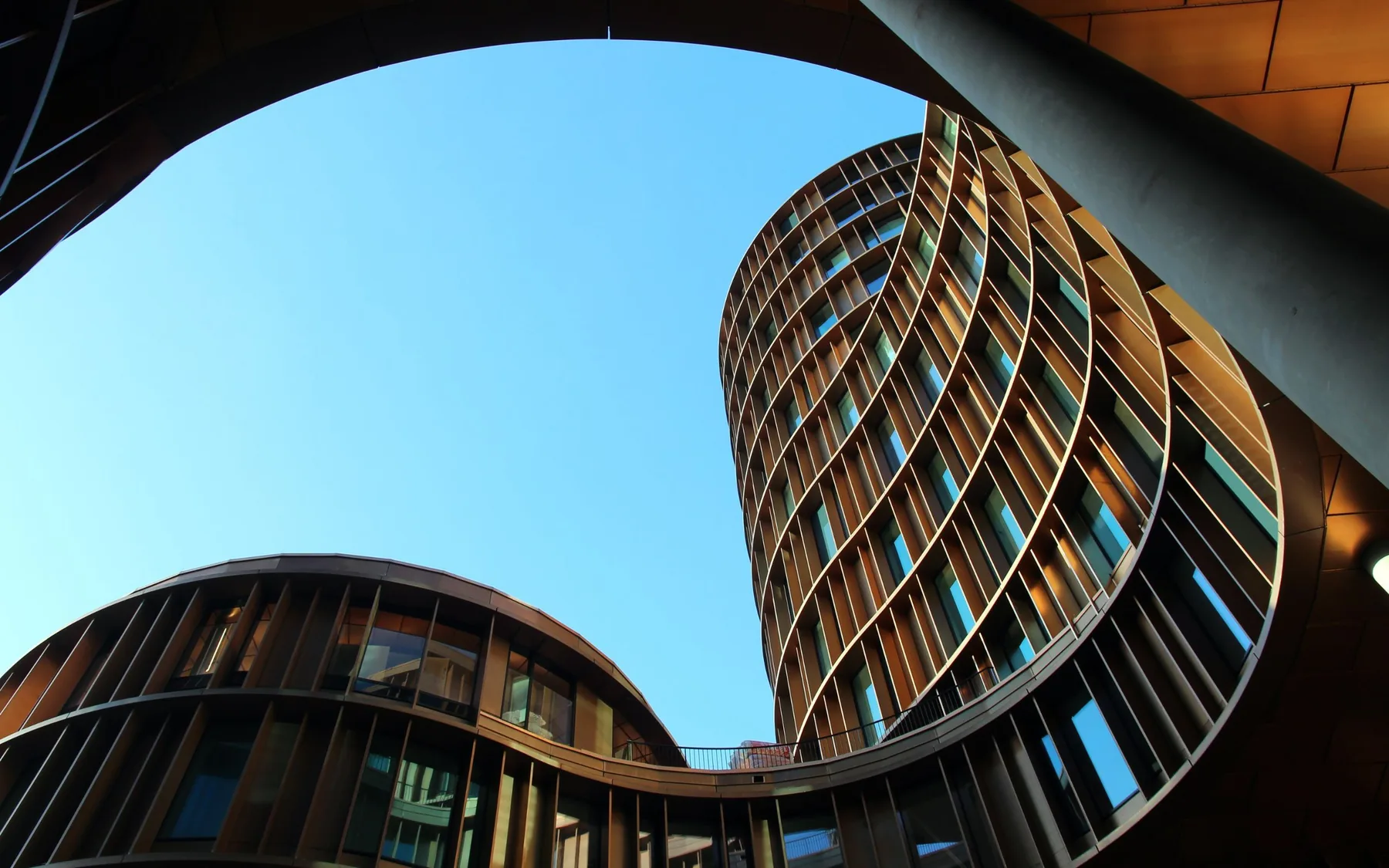 Curved timber-and-glass office building against a clear blue sky